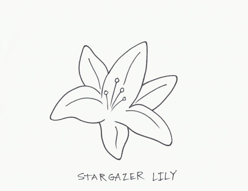 Lily.D✝✨ページ Lilizi ~ Daytime JSK by Chinese Indie Brand